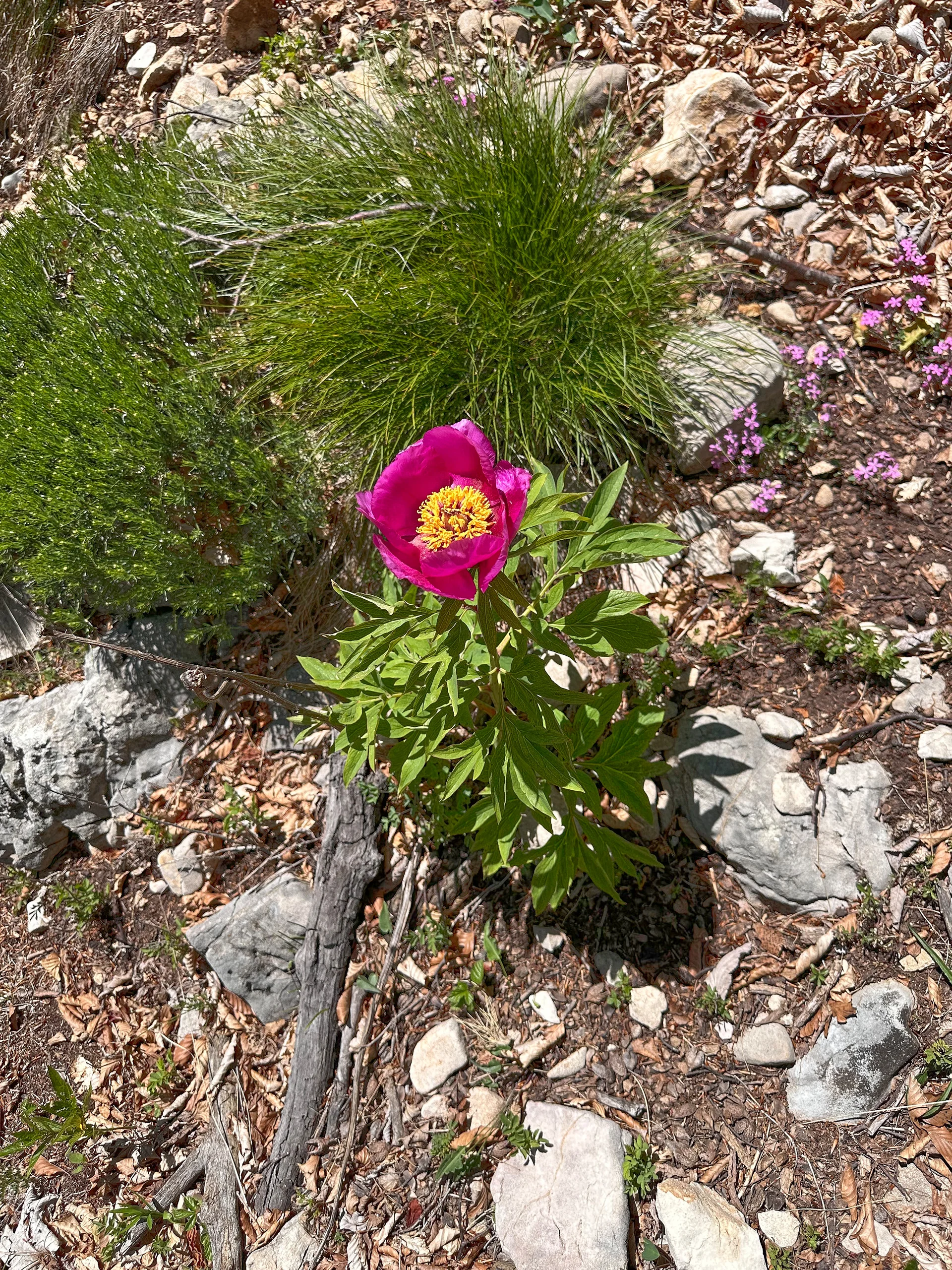 © DAV Sektion Rottal Neumarkt-St. Veit