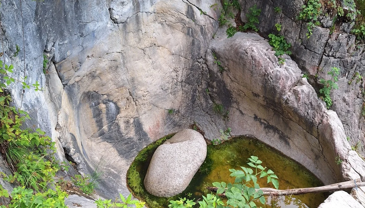 © Günter Honsowitz