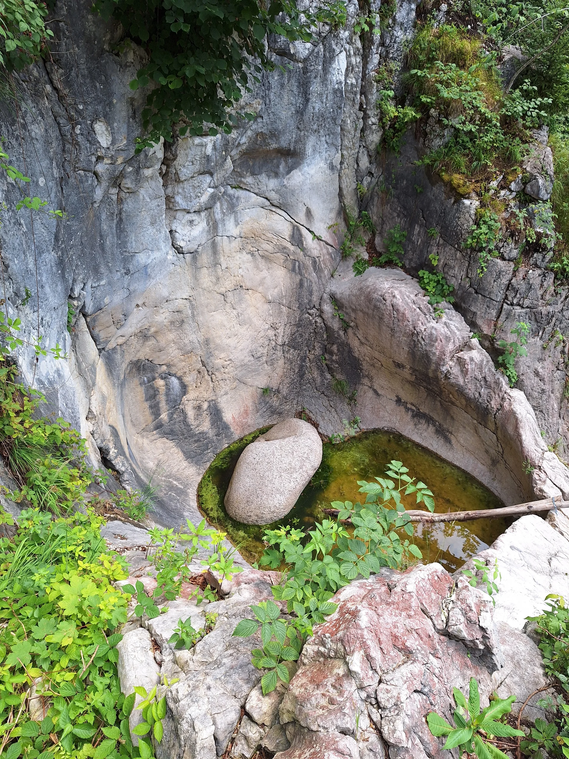 © Günter Honsowitz