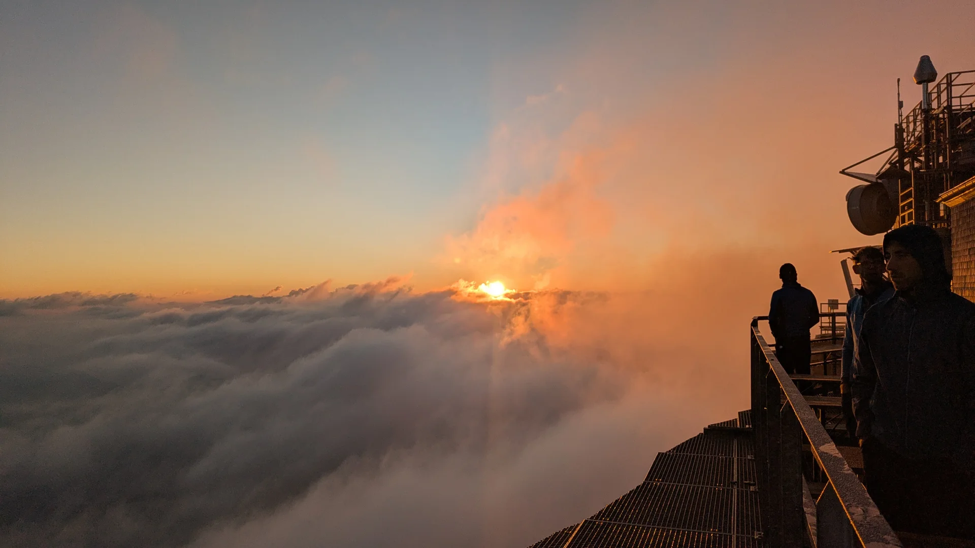 © Daniela Utzschmid