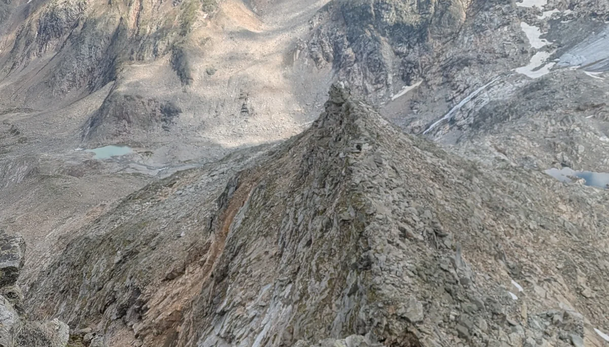 © Daniela Utzschmid