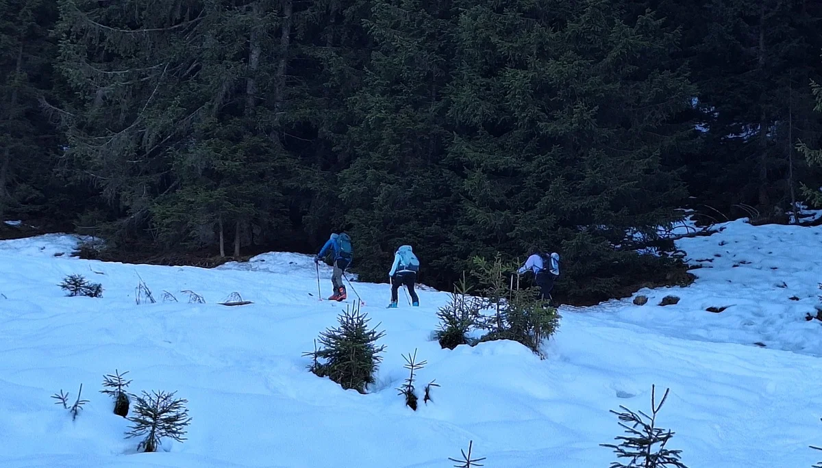 © Günter Honsowitz