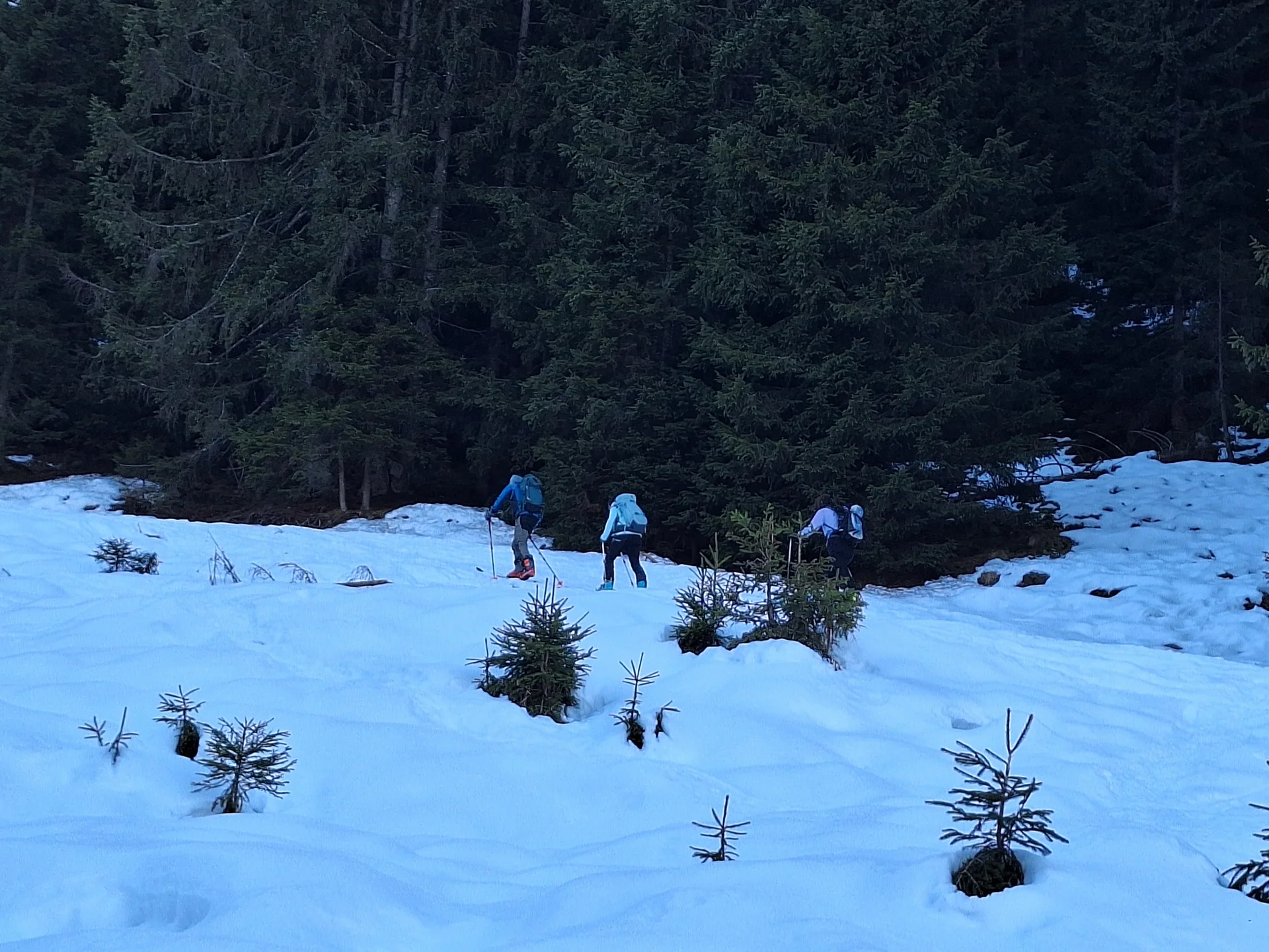 © Günter Honsowitz