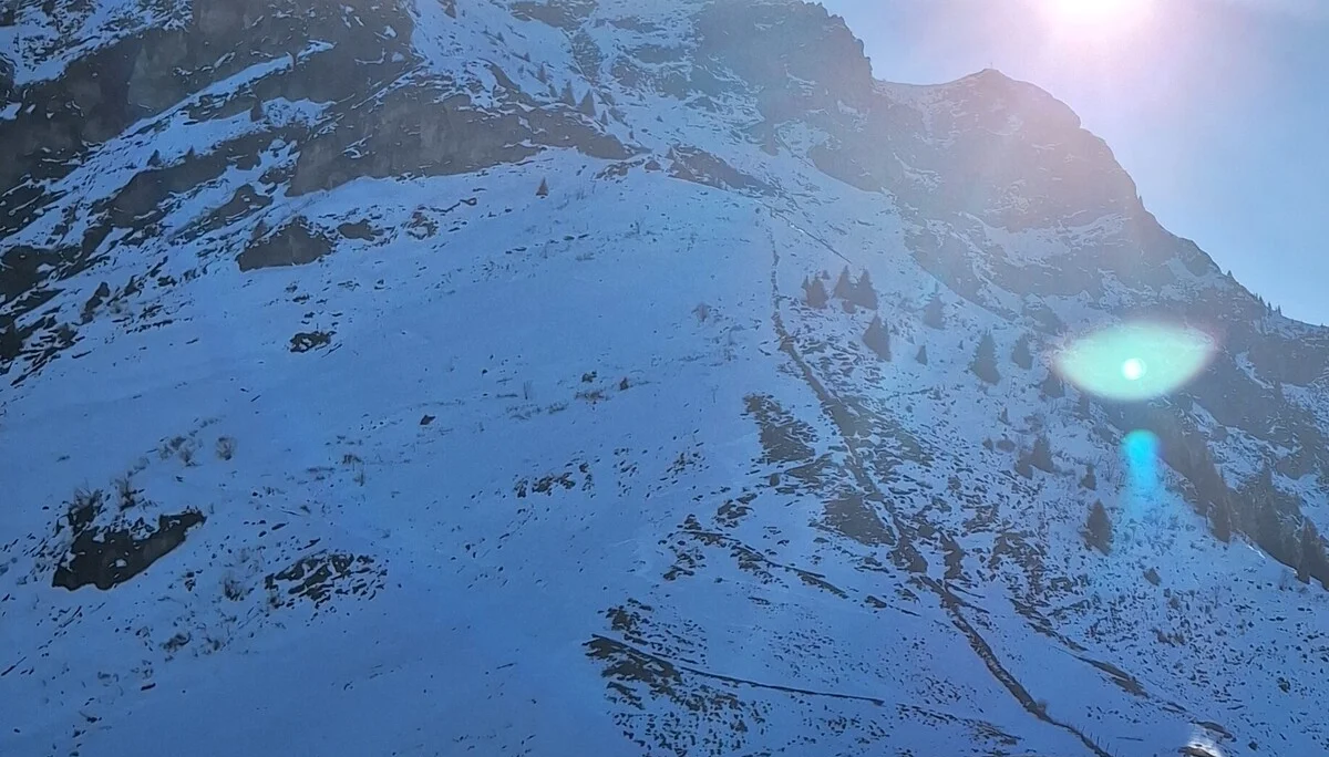 © Günter Honsowitz