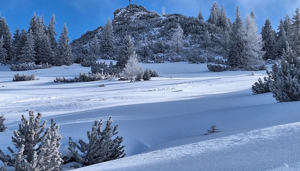 © Günter Honsowitz