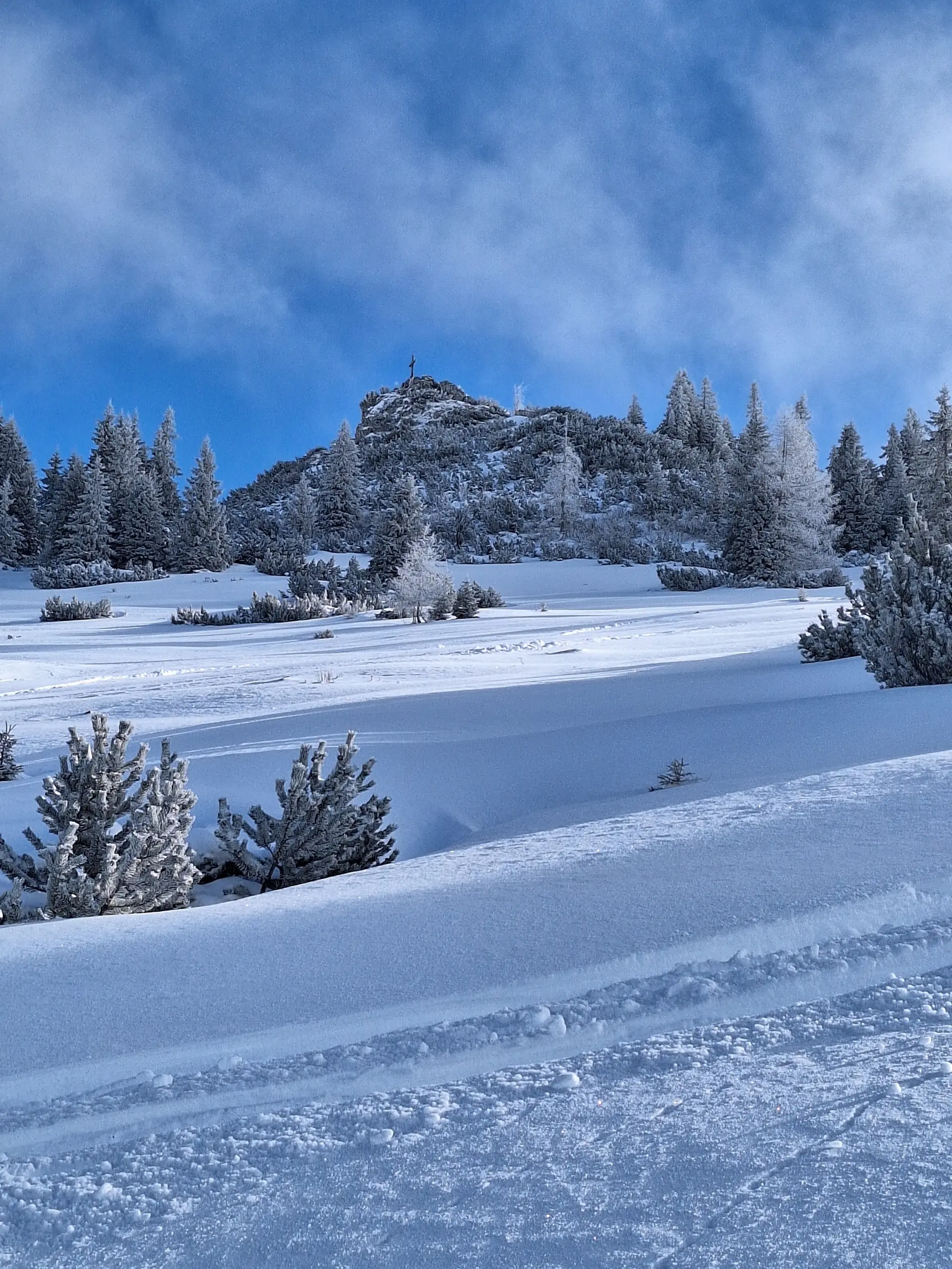 © Günter Honsowitz