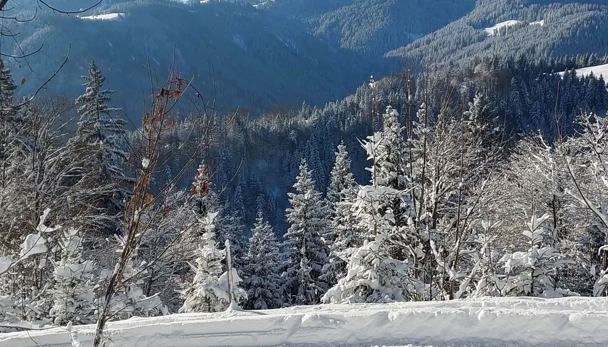 © Bärbel Wagenhofer