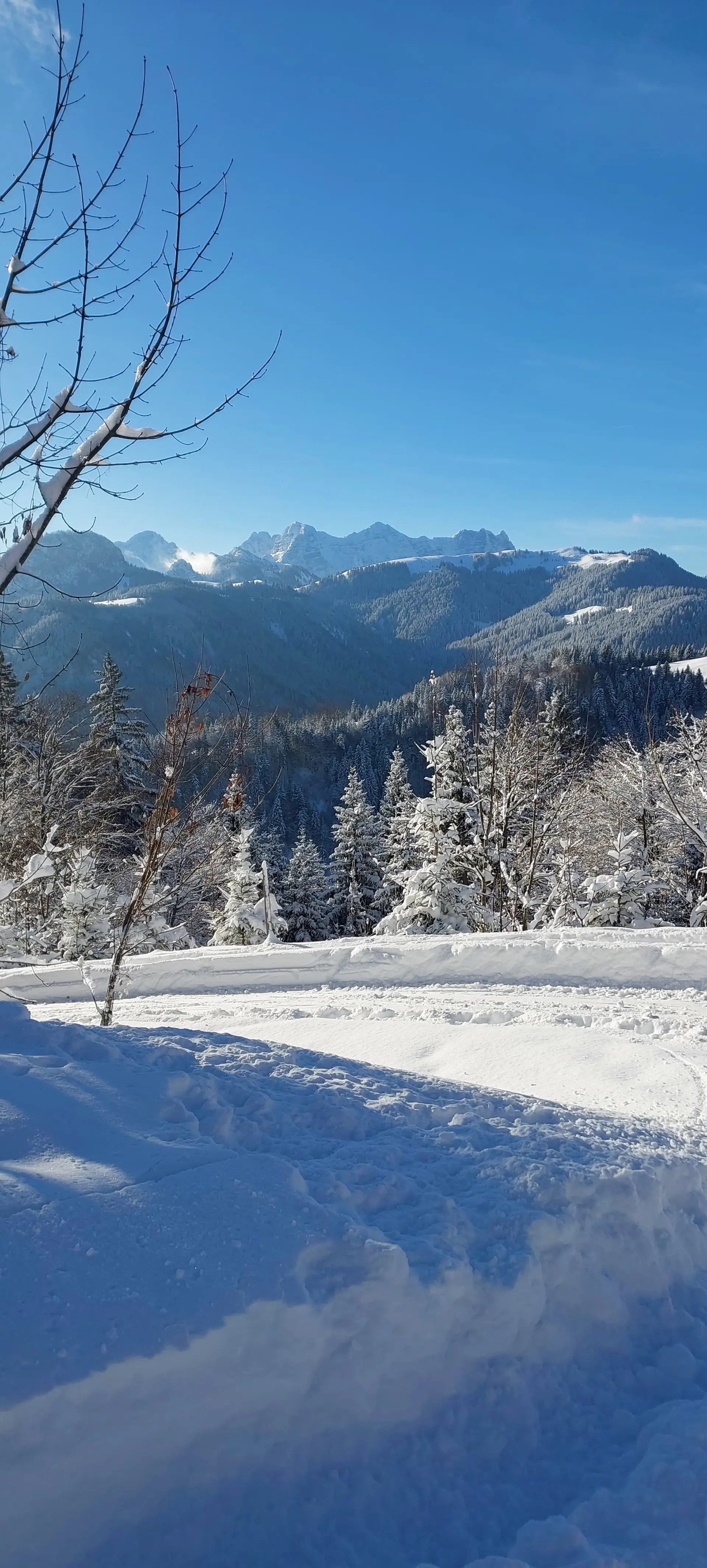 © Bärbel Wagenhofer