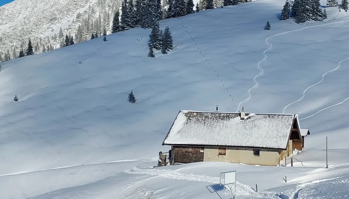 © Bärbel Wagenhofer