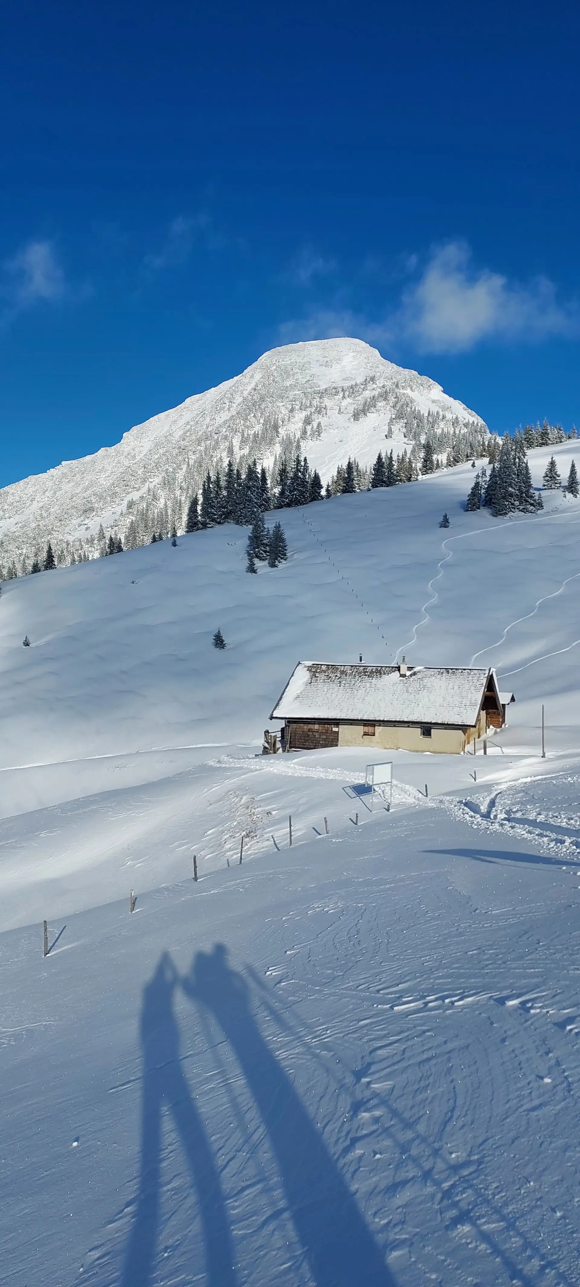 © Bärbel Wagenhofer