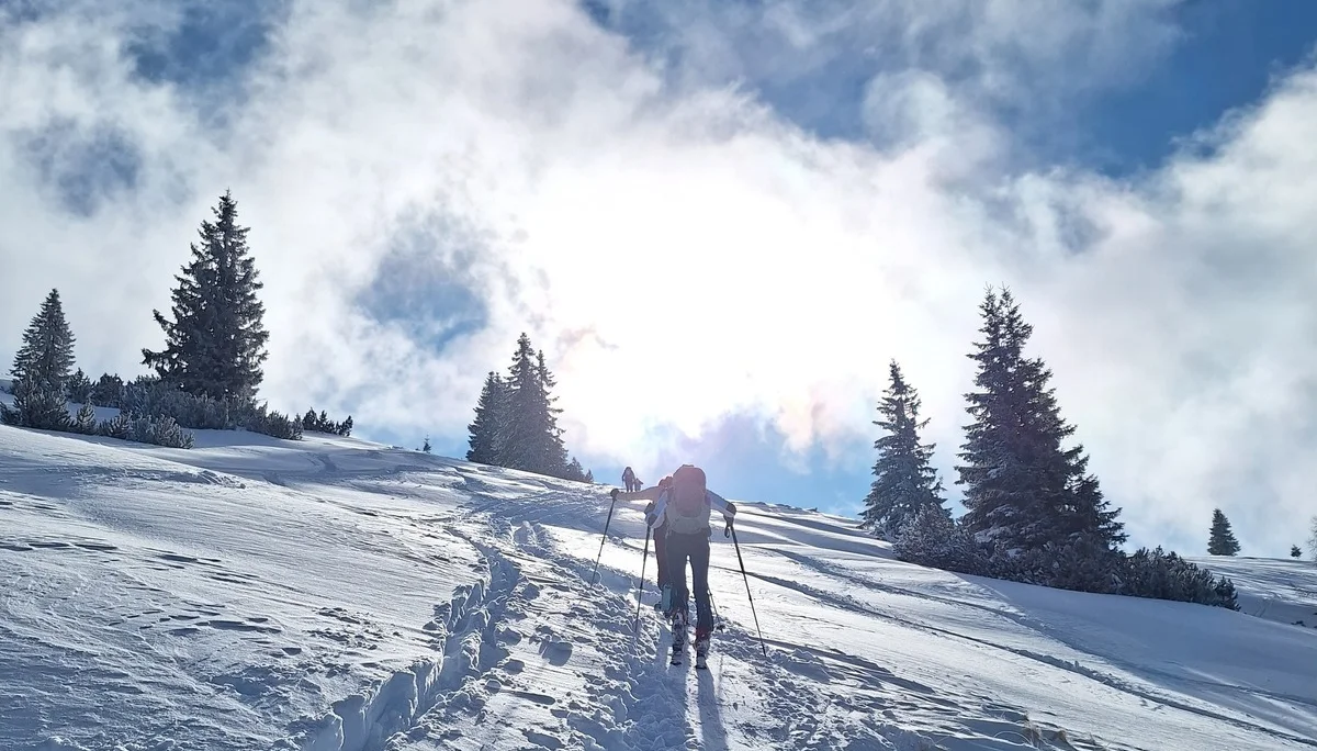 © Günter Honsowitz