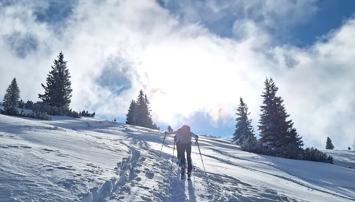 © Günter Honsowitz