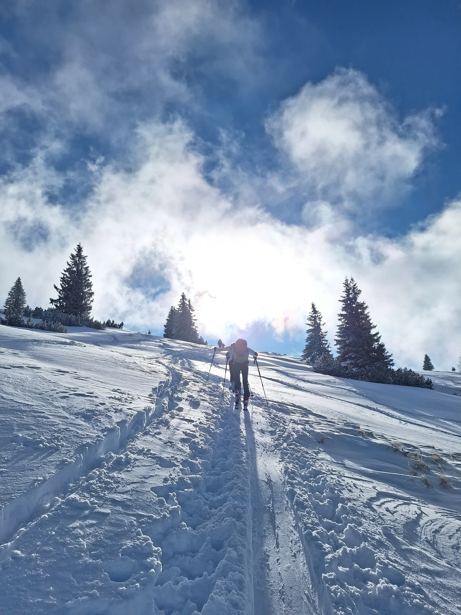 © Günter Honsowitz