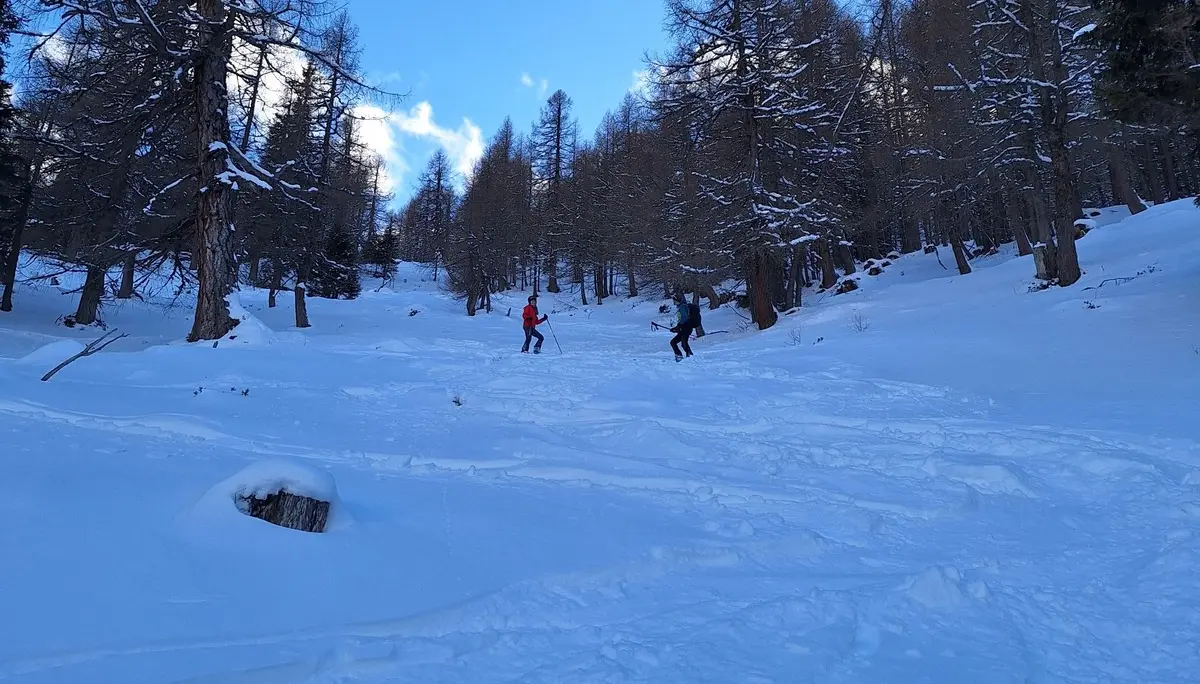 © Günter Honsowitz