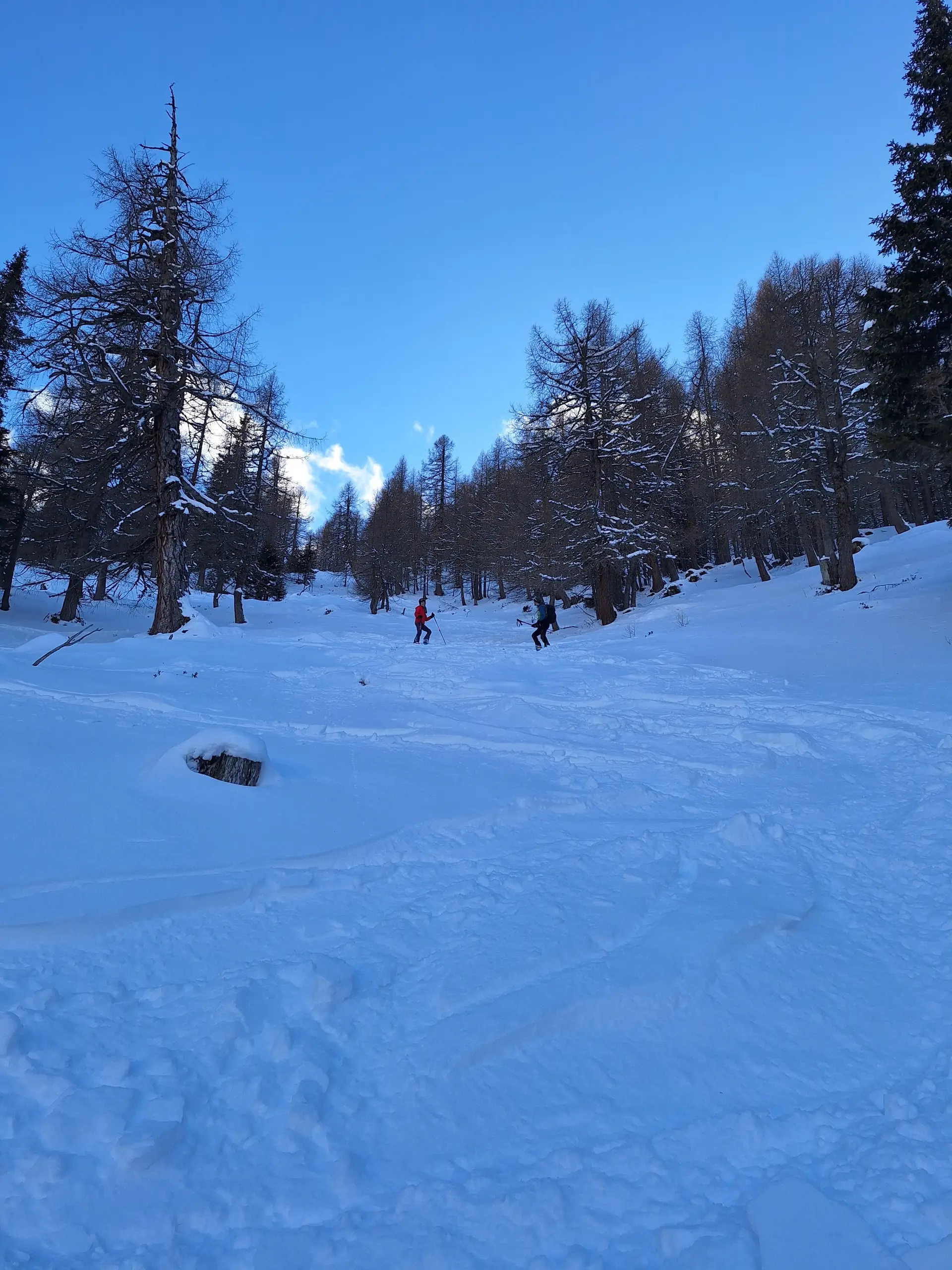 © Günter Honsowitz