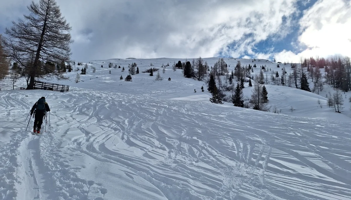 © Günter Honsowitz