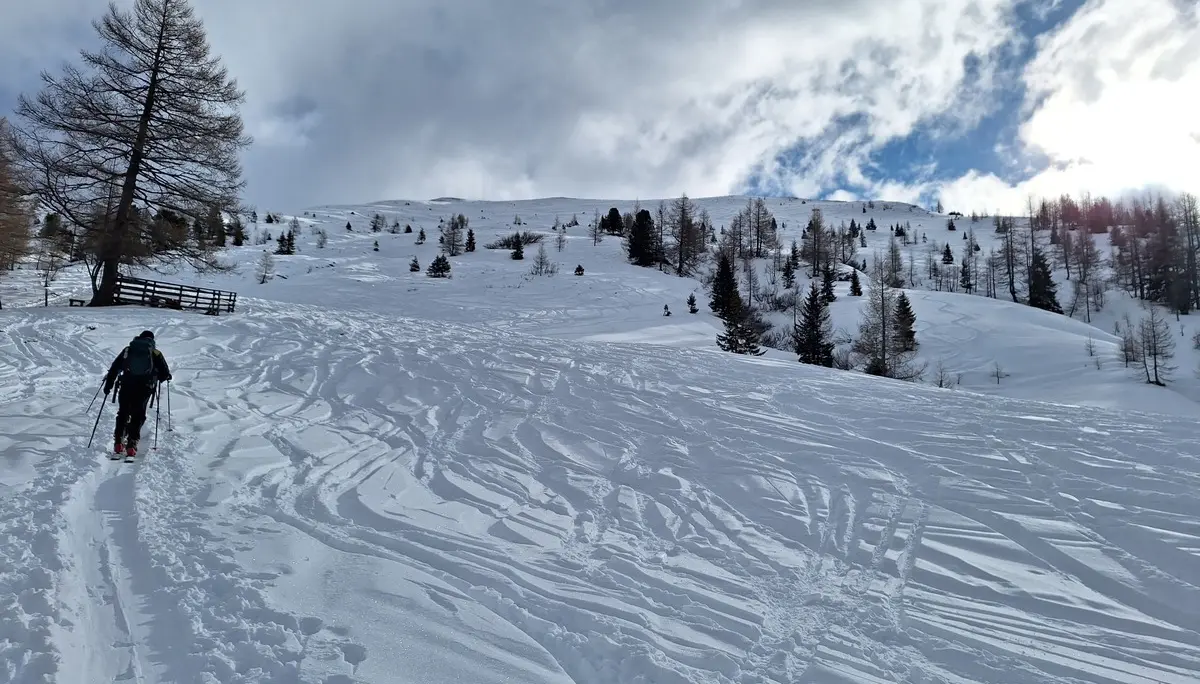 © Günter Honsowitz