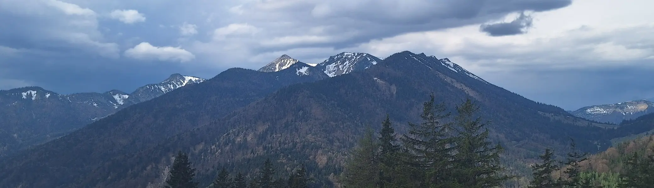 © Günter Honsowitz