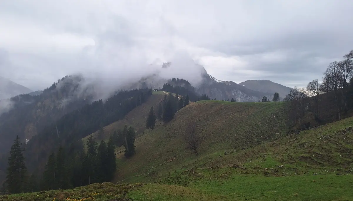 © Günter Honsowitz