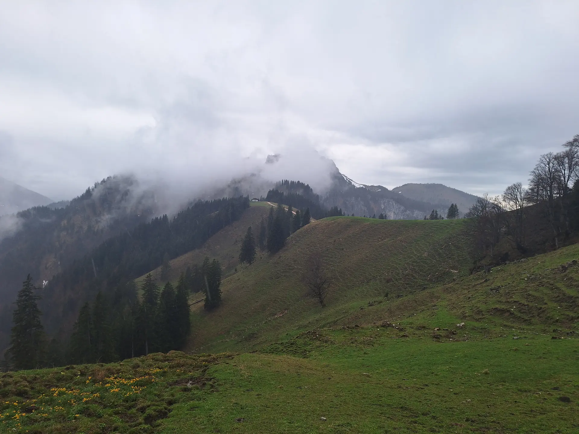 © Günter Honsowitz