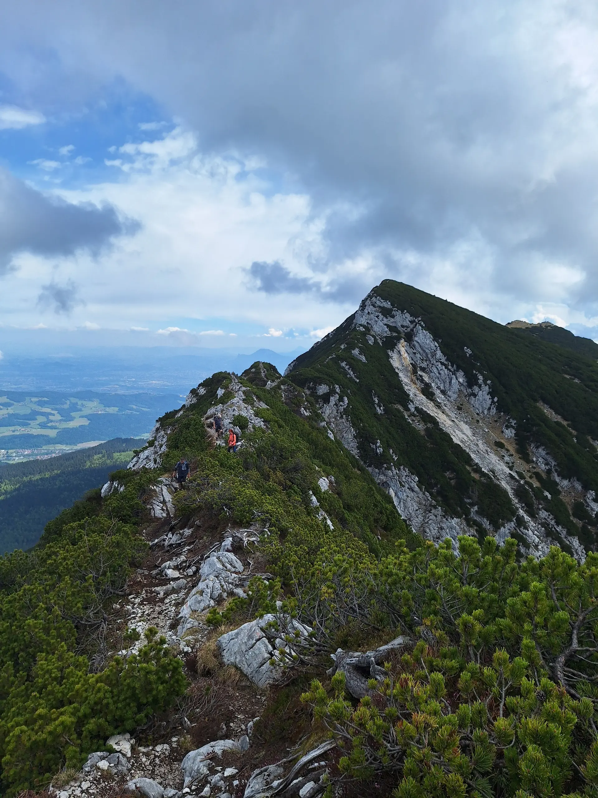 © Günter Honsowitz