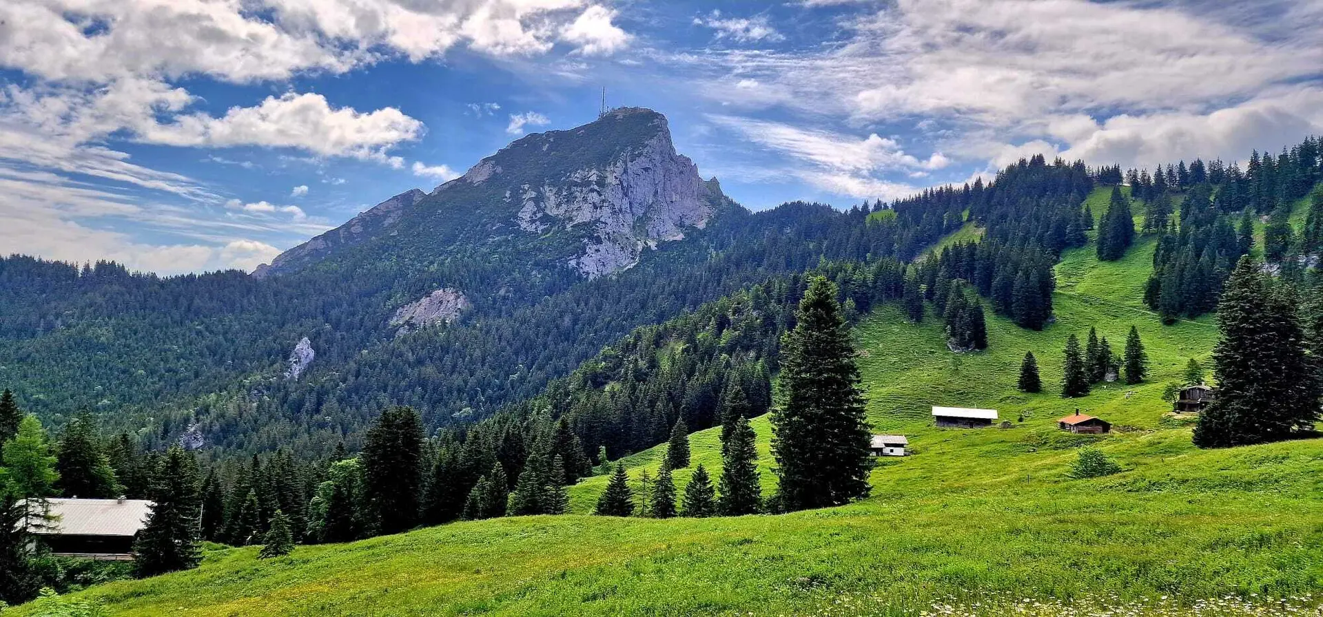 © Gabi Groß