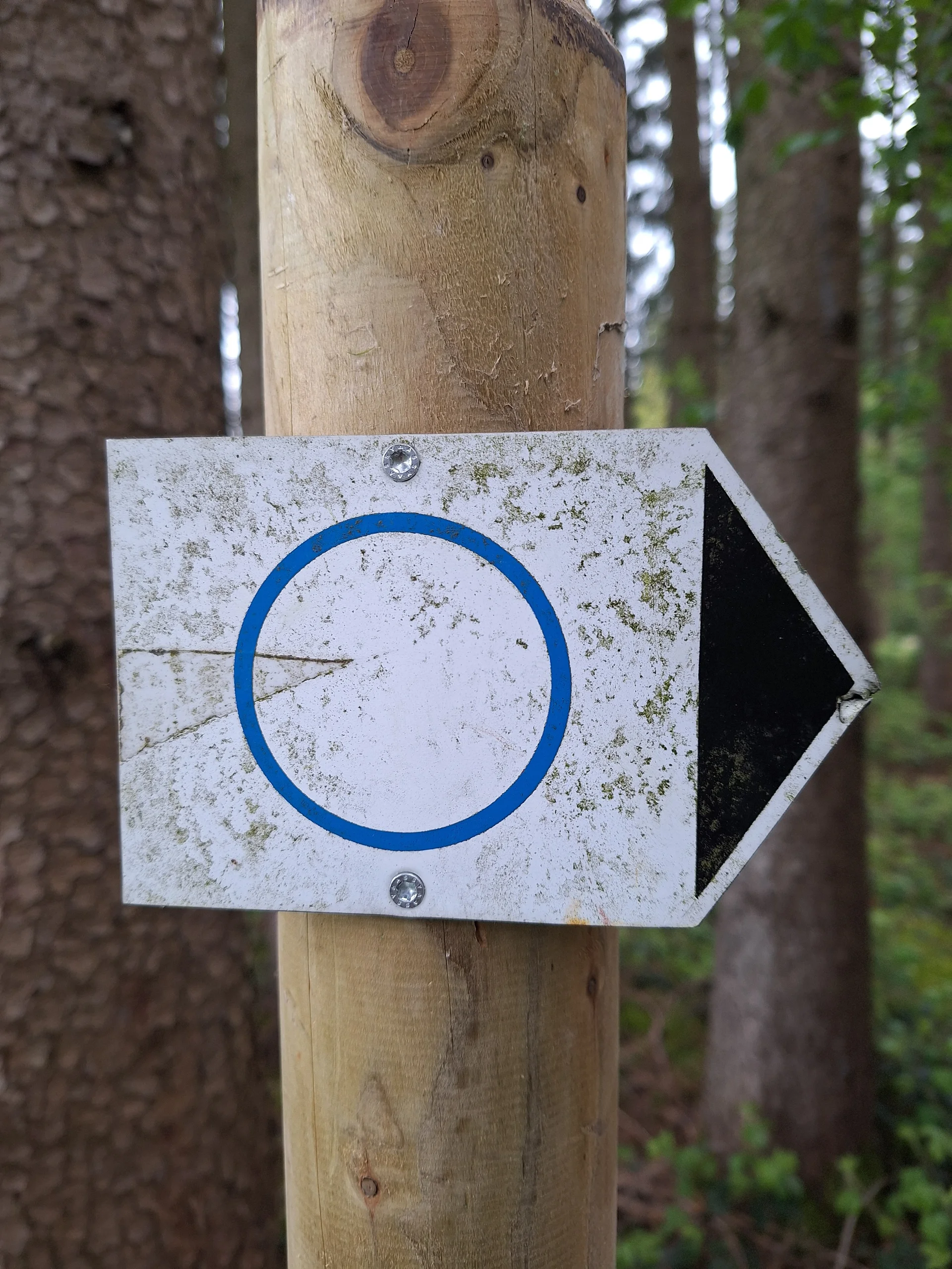 © DAV Rottal Neumarkt-St.Veit