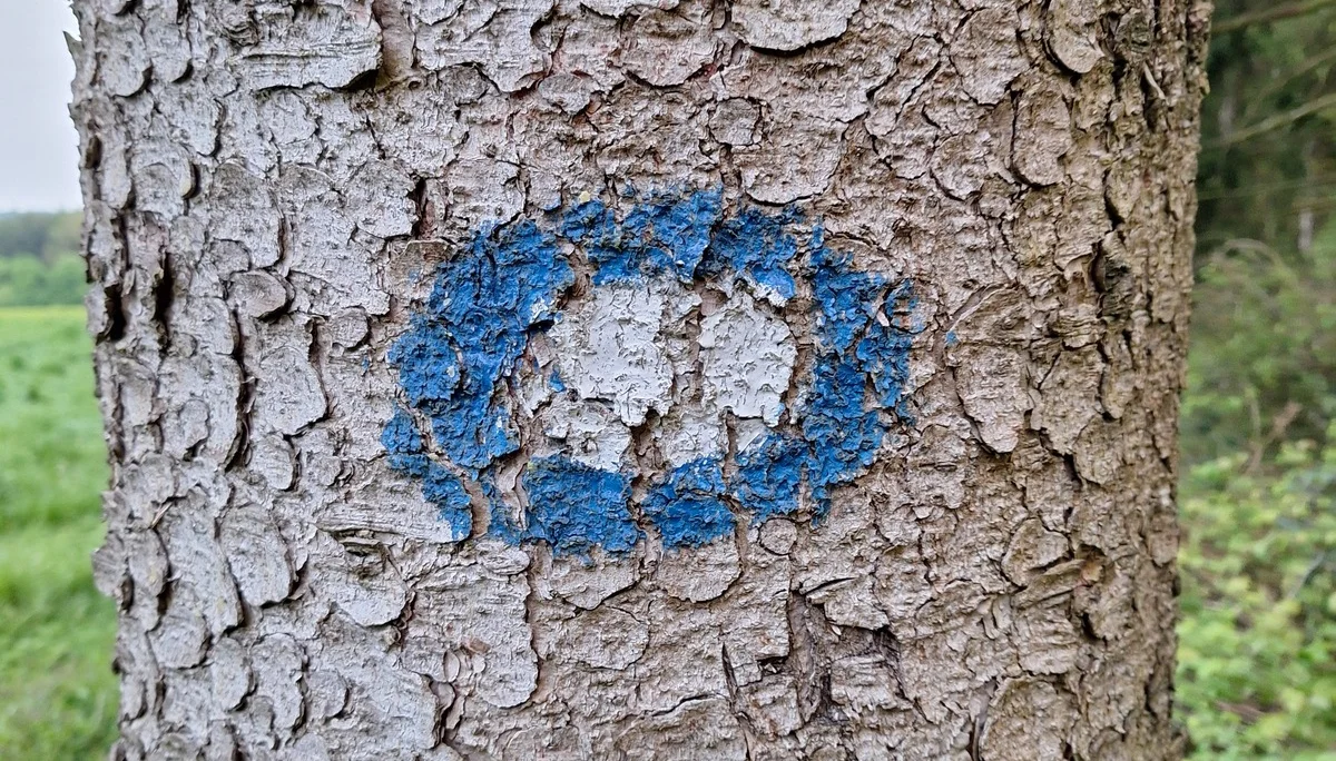 © DAV Rottal Neumarkt-St.Veit