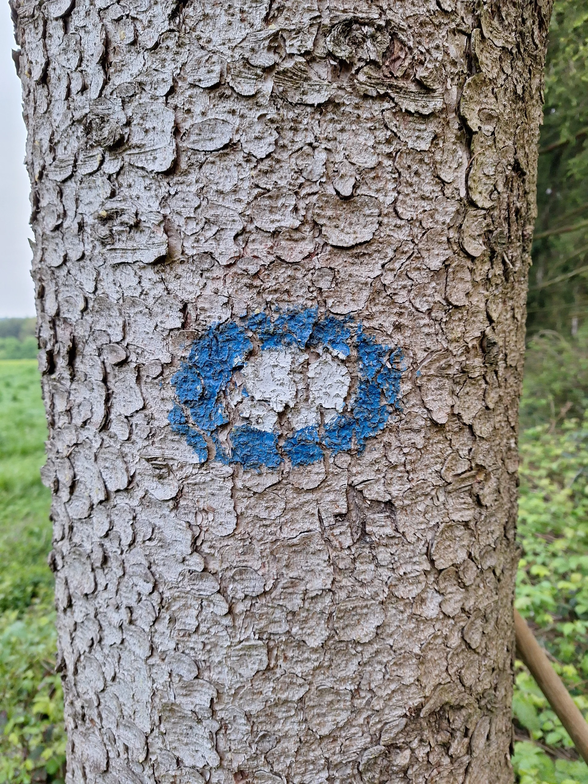 © DAV Rottal Neumarkt-St.Veit