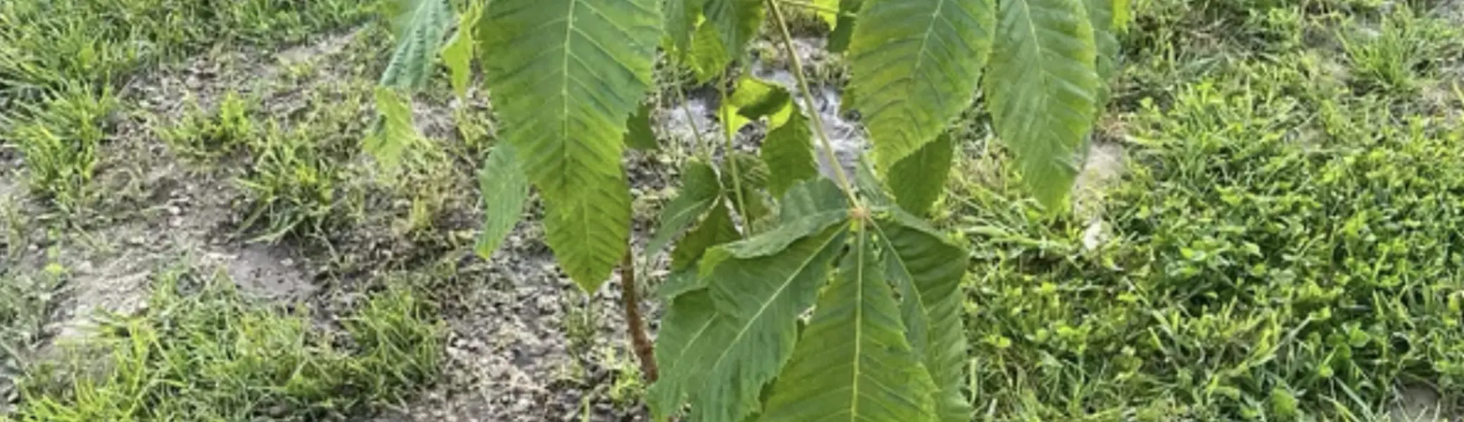 © DAV Sektion Rottal Neumarkt-St. Veit