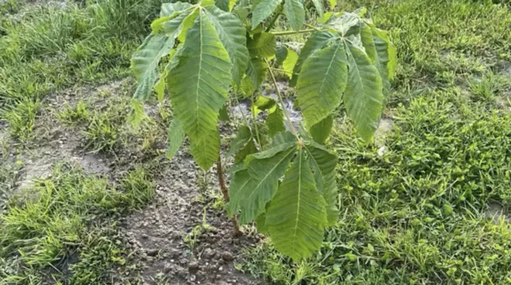 © DAV Sektion Rottal Neumarkt-St. Veit